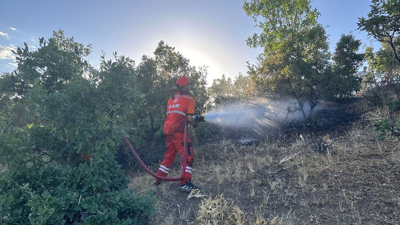 Bingöl'de Orman Yangını Kontrol Altına Alındı