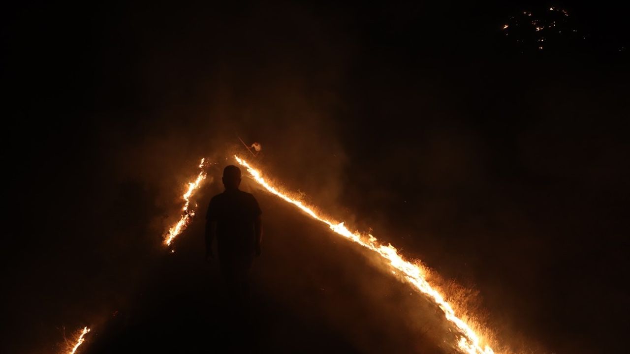 Bingöl'de Orman Yangını Kontrol Altına Alındı