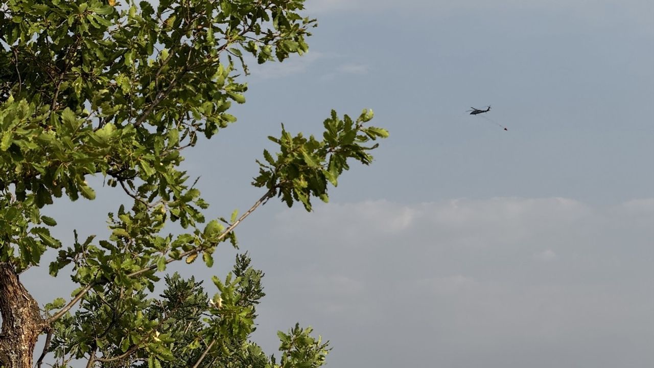 Bingöl'de Orman Yangınlarına Hızla Müdahale Ediliyor