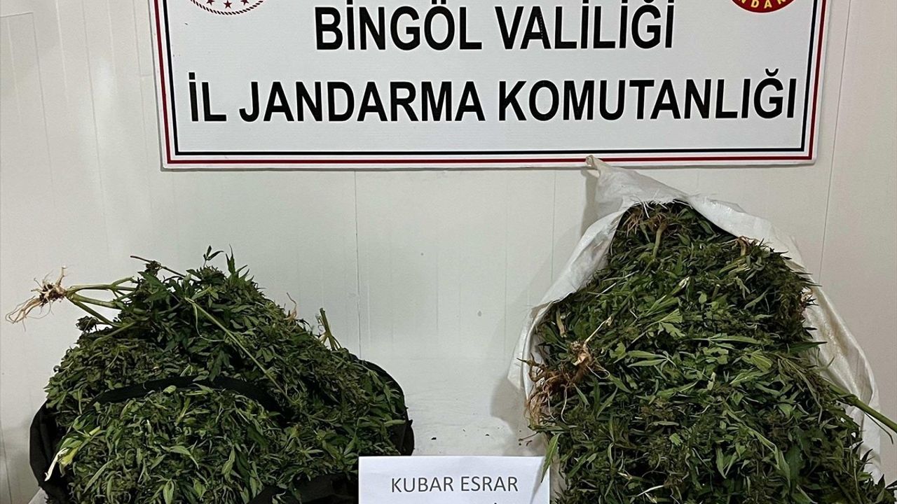 Bingöl'de Uyuşturucu Operasyonu: 17 Kilo Esrar Ele Geçirildi