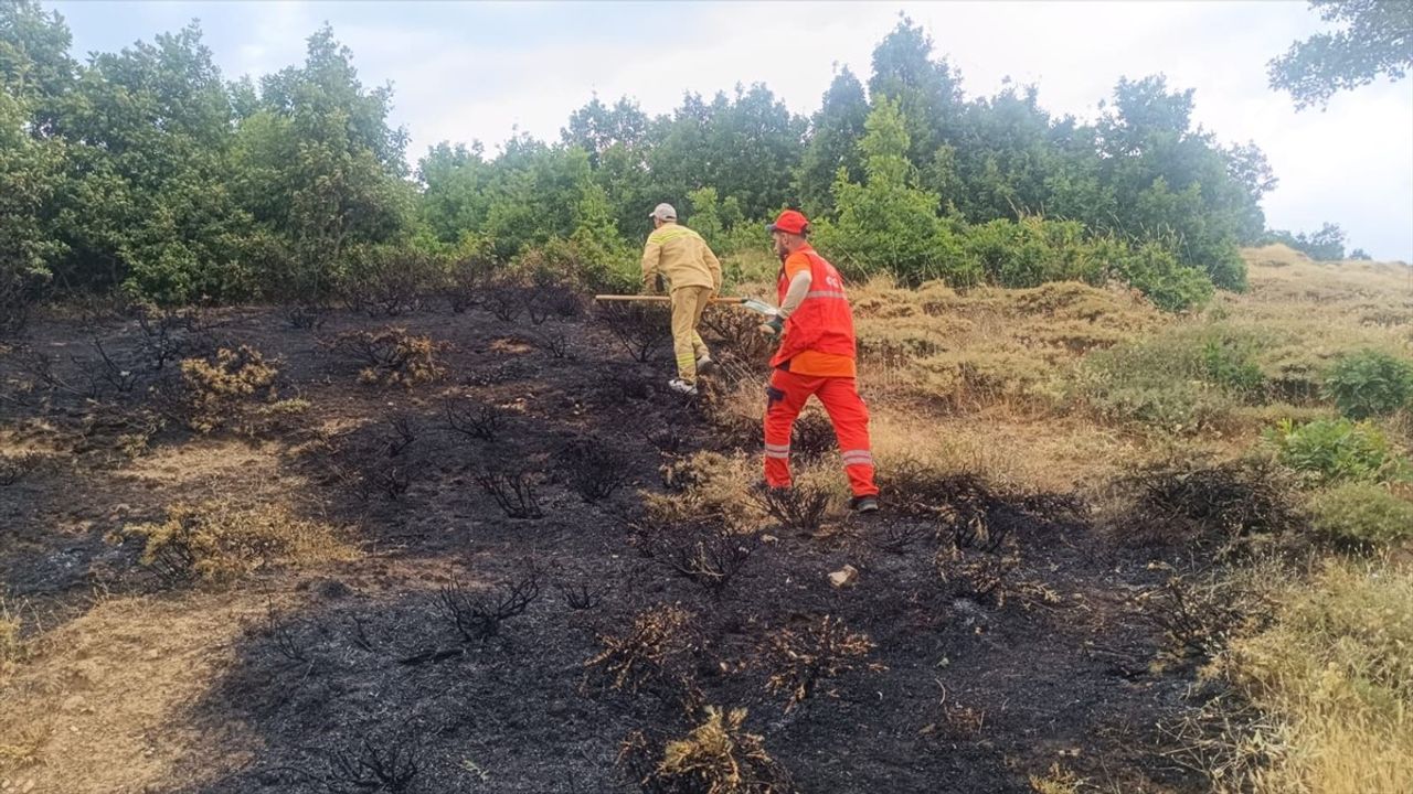 Bingöl'deki Orman Yangını Kontrol Altına Alındı