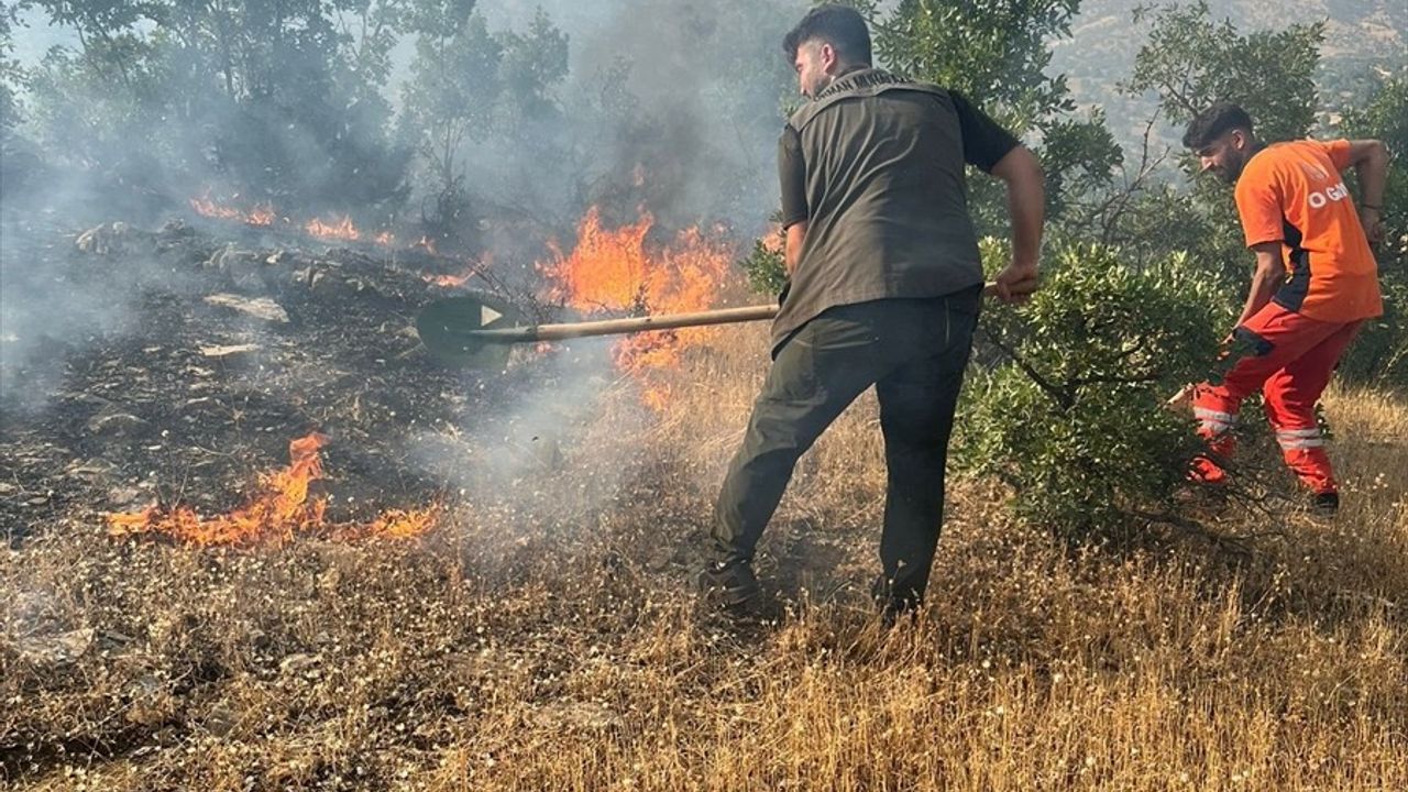 Bingöl'deki Orman Yangınları Kontrol Altına Alındı