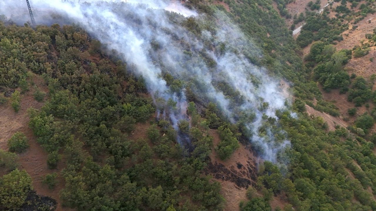 Bingöl Orman Yangınları Kontrol Altına Alındı