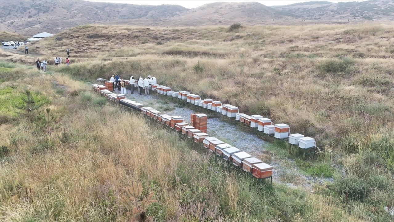 Bitlis Eren Üniversitesi'nde Bal Hasadı Heyecanı