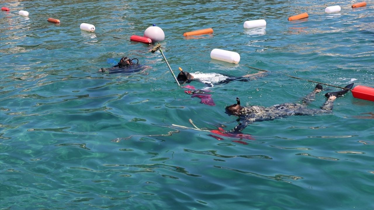 Bodrum'da Gönüllü Dalgıçlar Deniz Dibi Temizliği Yaptı