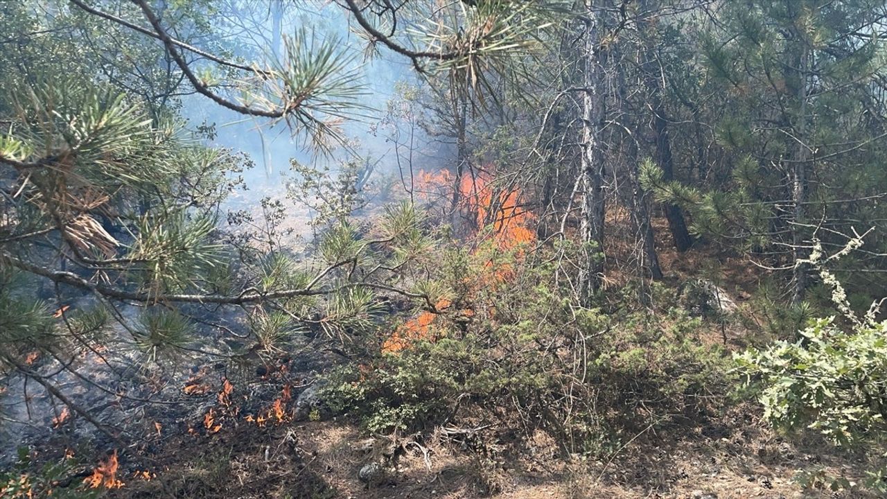 Bolu'da Orman Yangını Kontrol Altına Alındı
