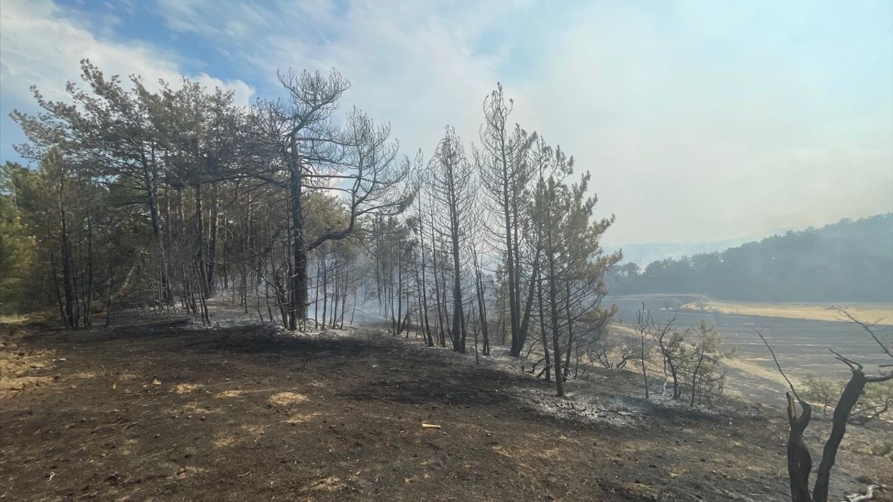 Bolu'da Orman Yangını Kontrol Altına Alındı