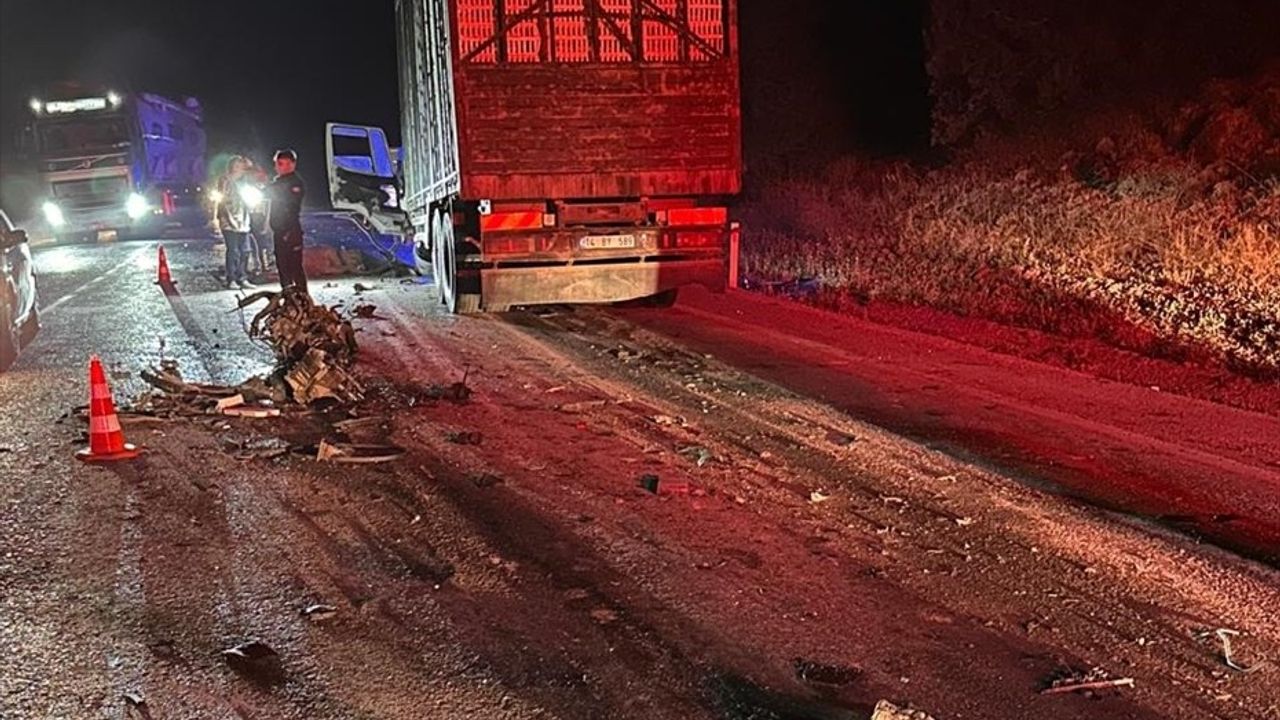 Bolu'da Yola Çıkan Geyik Faciası: 1 Ölü, 1 Yaralı
