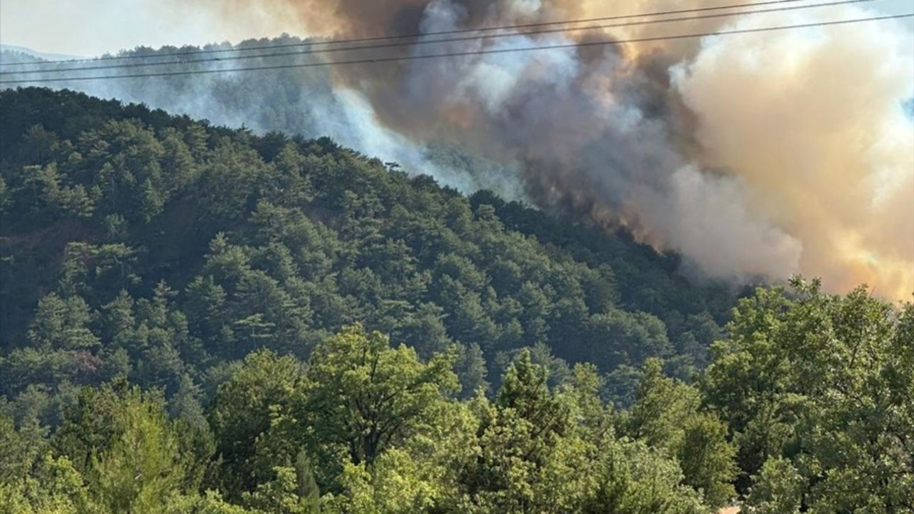 Bolu Göynük'te Orman Yangınına Hızla Müdahale Ediliyor