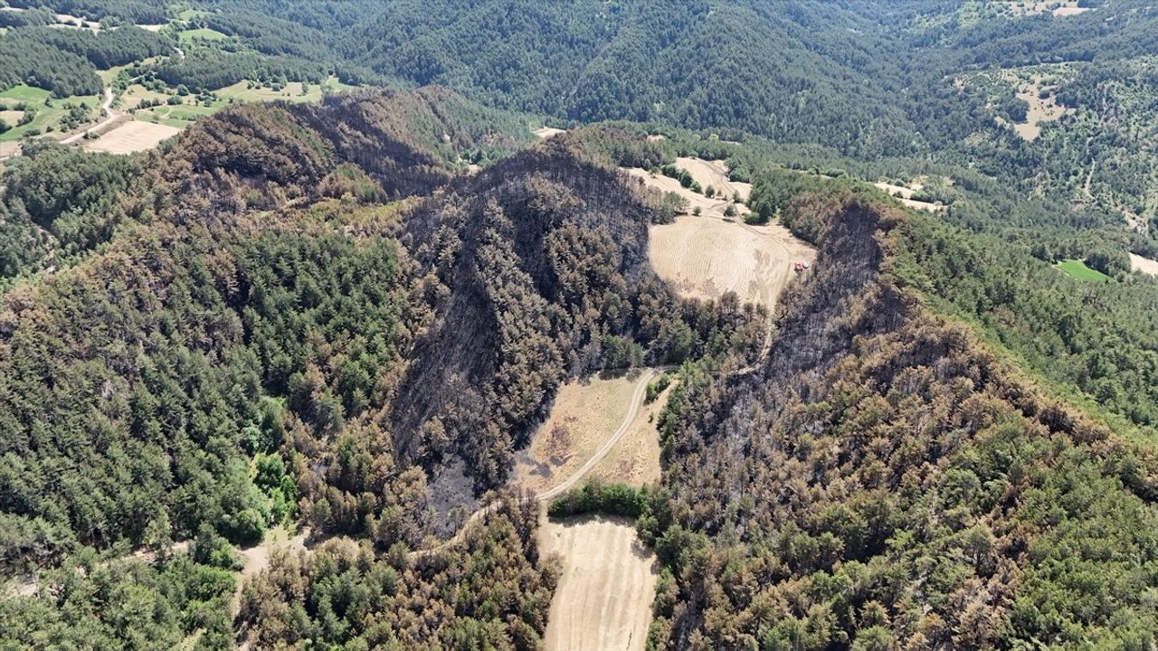 Bolu Göynük'teki Orman Yangınında 35 Hektar Ziyan Oldu