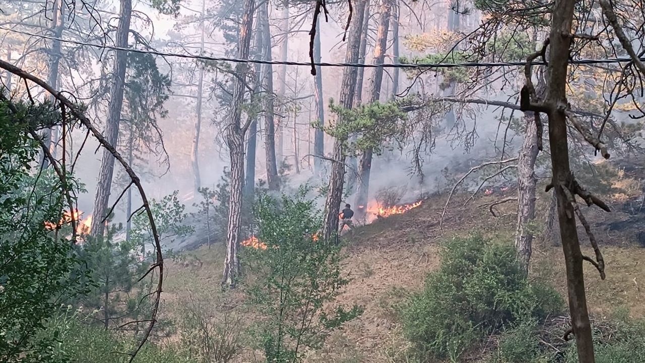 Bolu Mudurnu'da Orman Yangınına Hızlı Müdahale