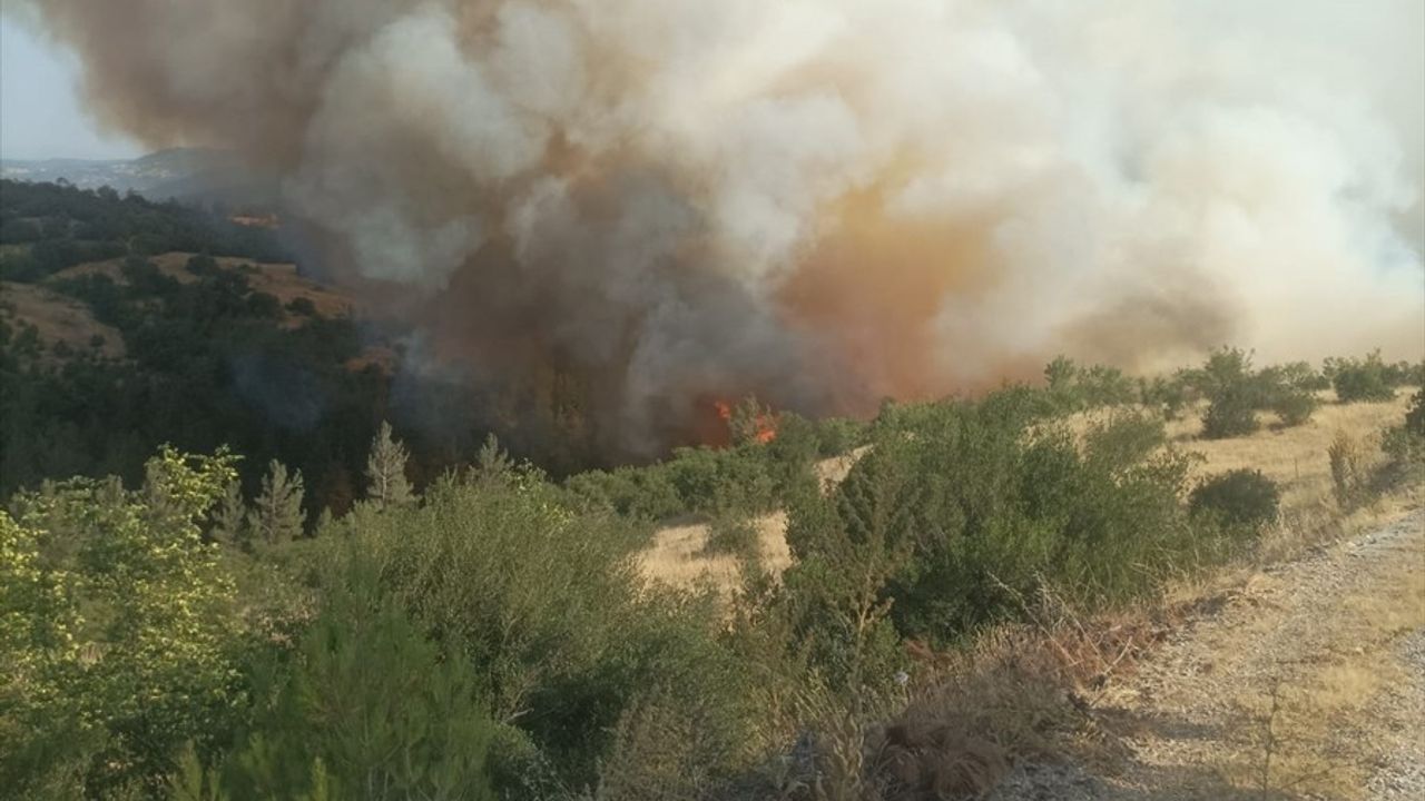 Bursa-Balıkesir Sınırında Orman Yangınına Müdahale Başlatıldı
