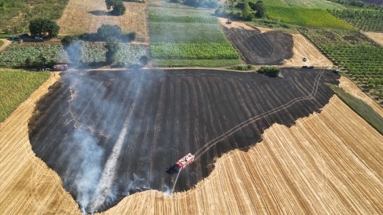 Bursa'da Anız Yangını Kontrol Altına Alındı