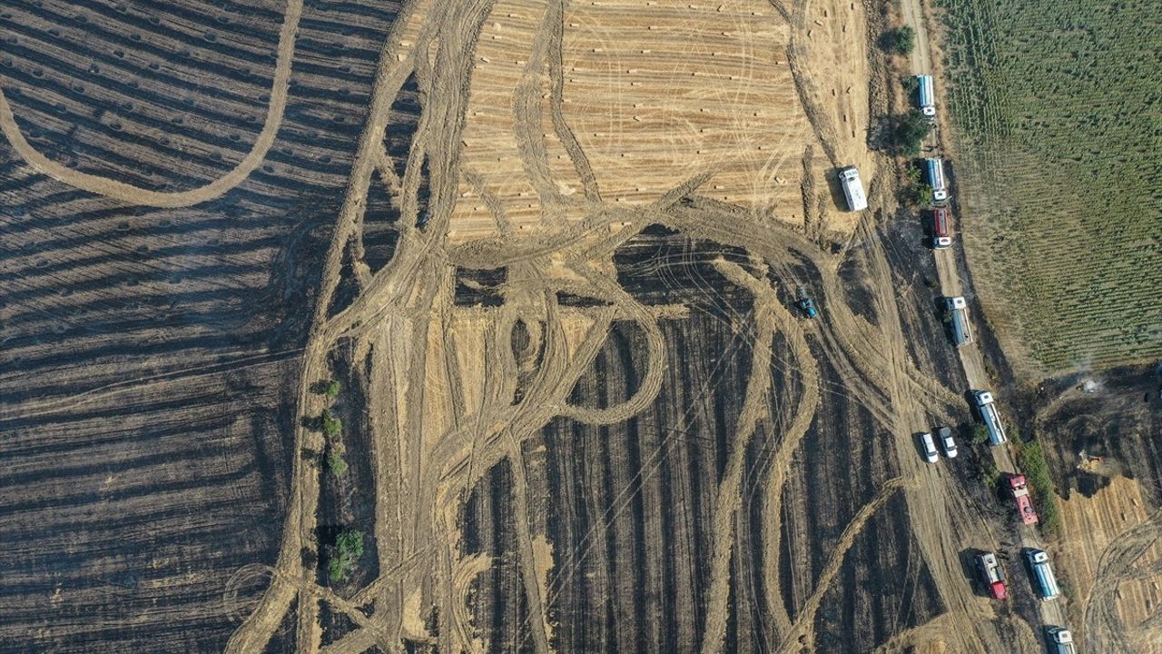 Bursa'da Arazi Yangını Kontrol Altına Alındı