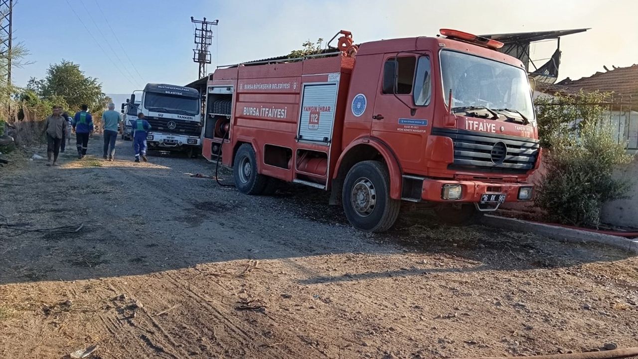 Bursa'da Et Üretim Çiftliği Yangını Kontrol Altına Alındı