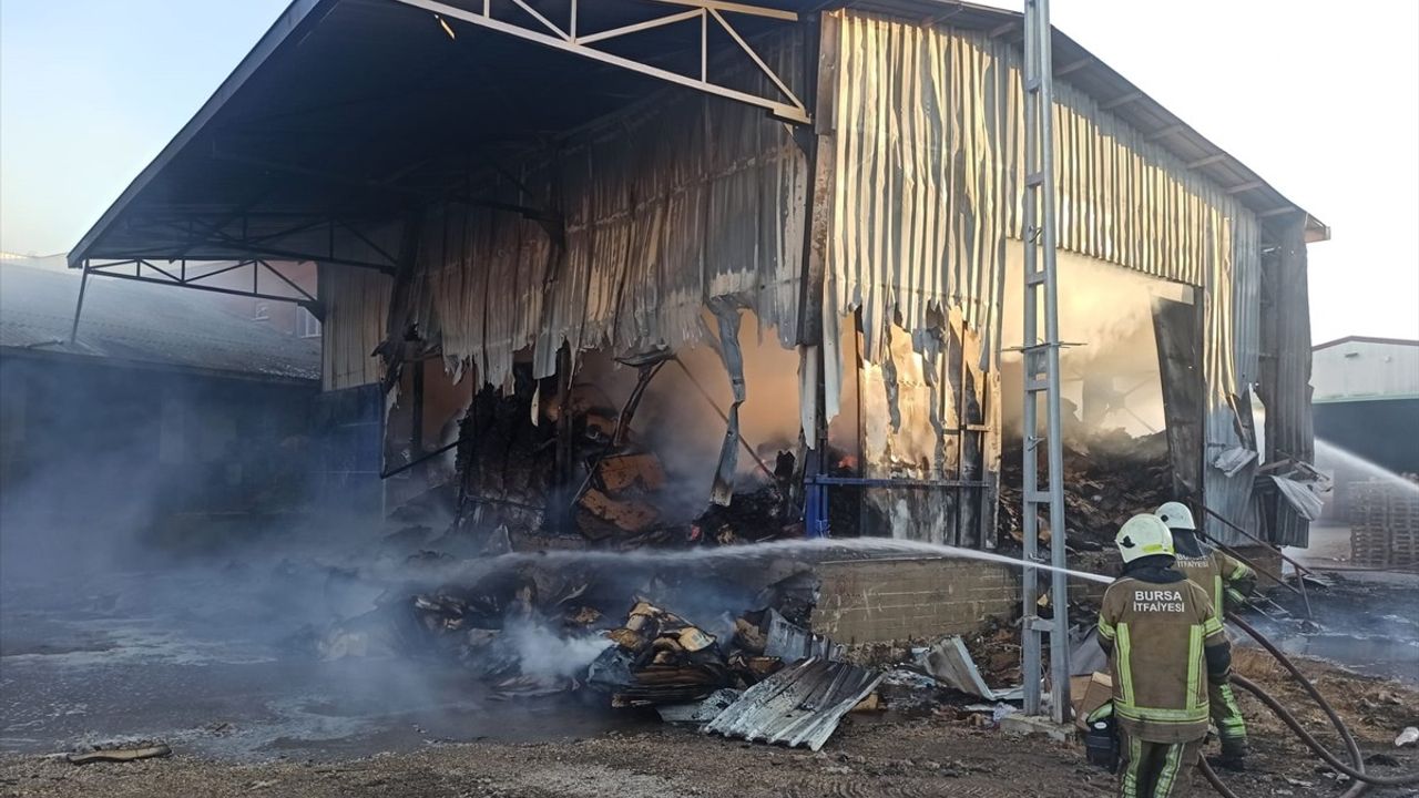 Bursa'da Meyve Sebze Paketleme Tesisinde Yangın: Ekipler Hızla Müdahale Etti