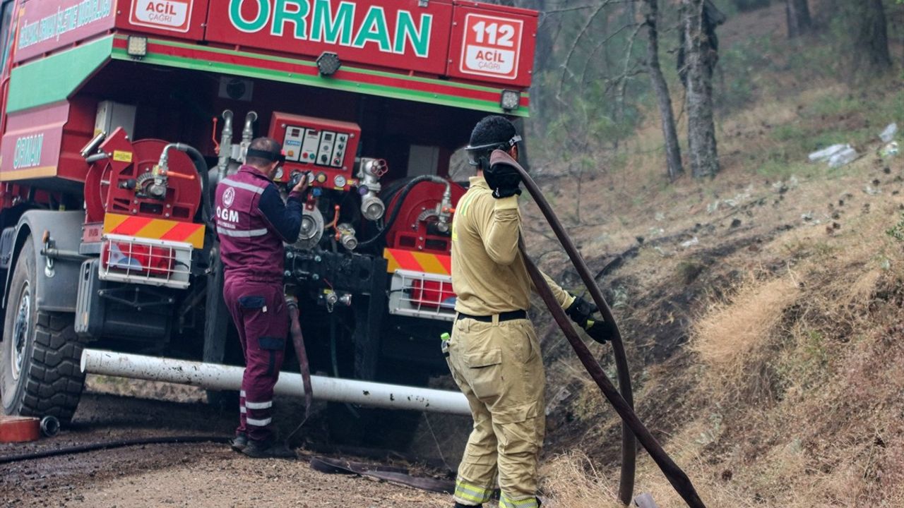 Bursa'da Orman Yangını 3. Günde Kontrol Altına Alınmaya Çalışılıyor