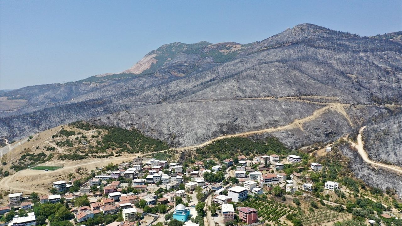 Bursa'da Orman Yangını: Karenin Sakinleri Felaketi Unutamıyor