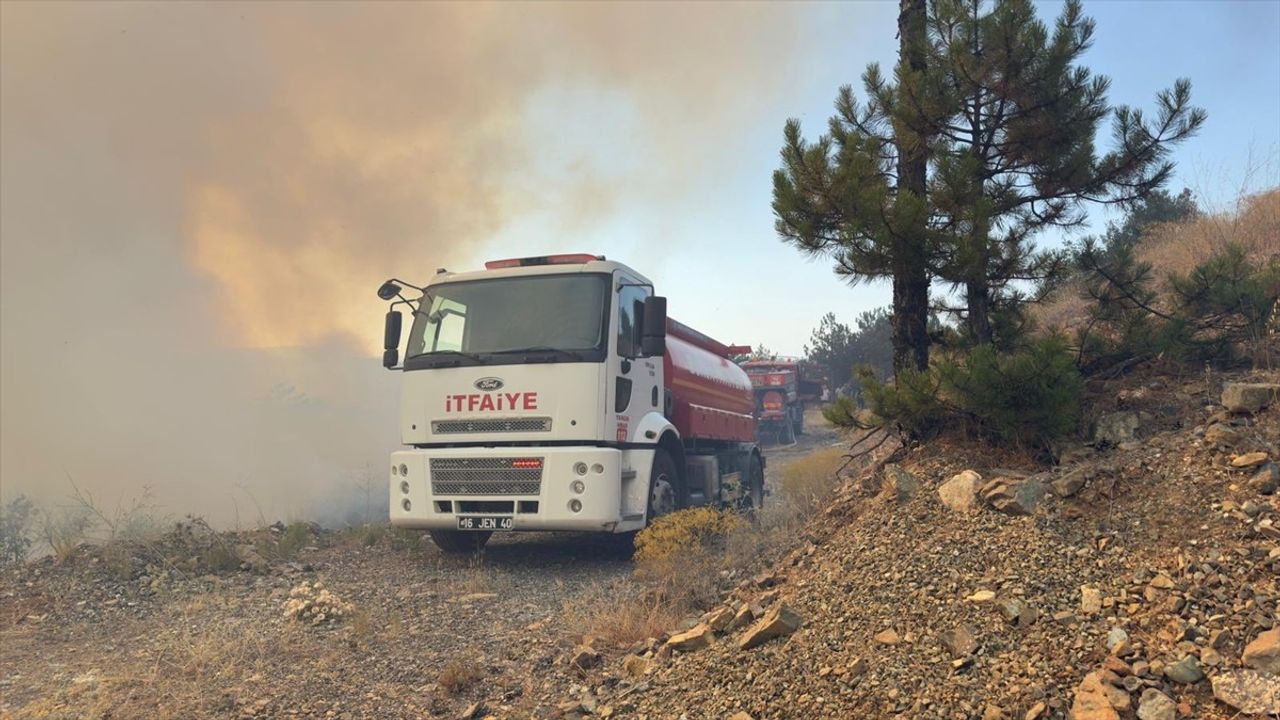 Bursa'da Orman Yangını: Trafik Durduruldu