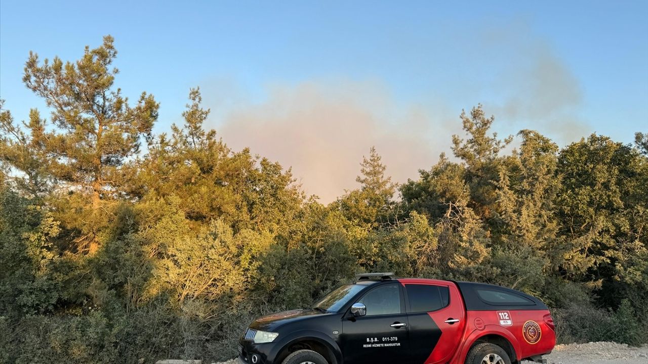 Bursa'da Orman Yangınına Havadan ve Karadan Müdahale