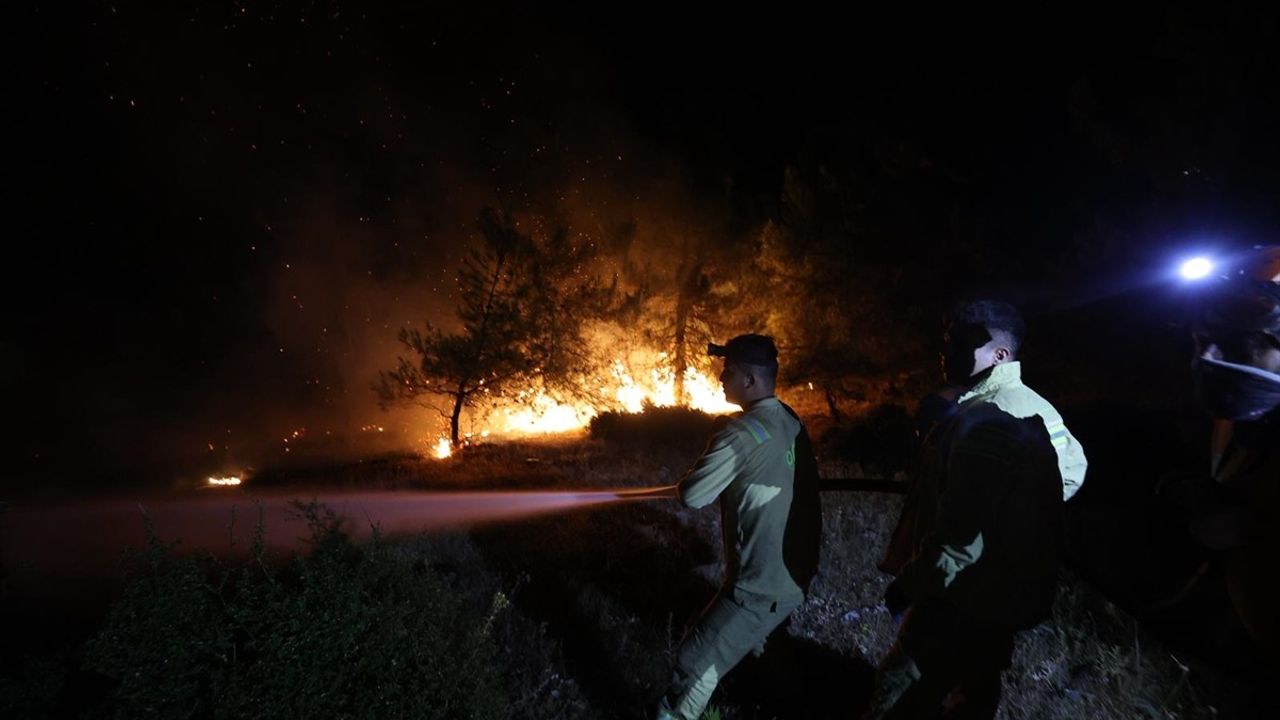 Bursa'da Orman Yangınına Hızla Müdahale: 480 Hane Tahliye Edildi