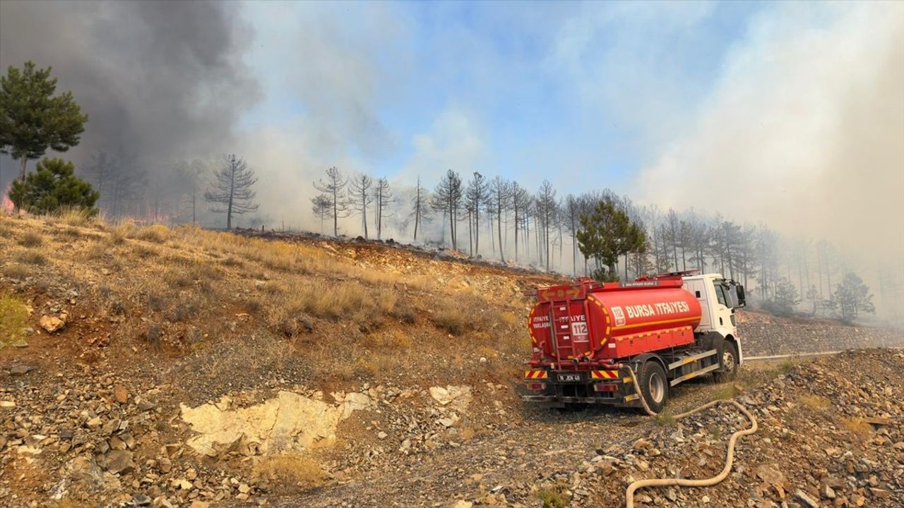 Bursa'da Orman Yangınına Hızla Müdahale Ediliyor