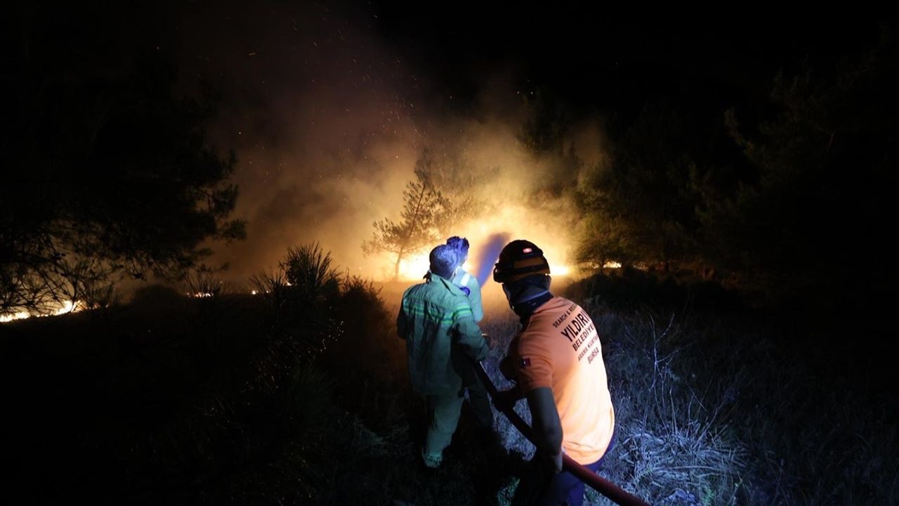 Bursa'da Orman Yangınına Müdahele Devam Ediyor