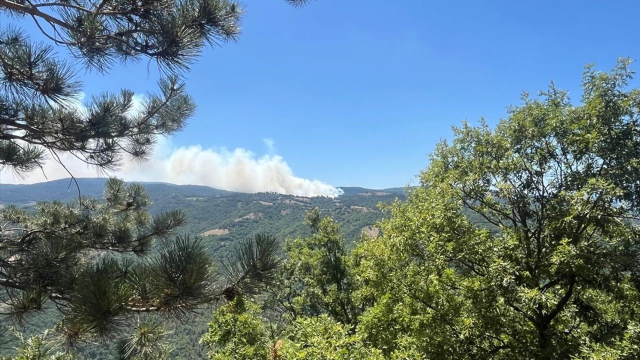 Bursa'da Orman Yangınına Sebep Olan Şüpheli Tutuklandı