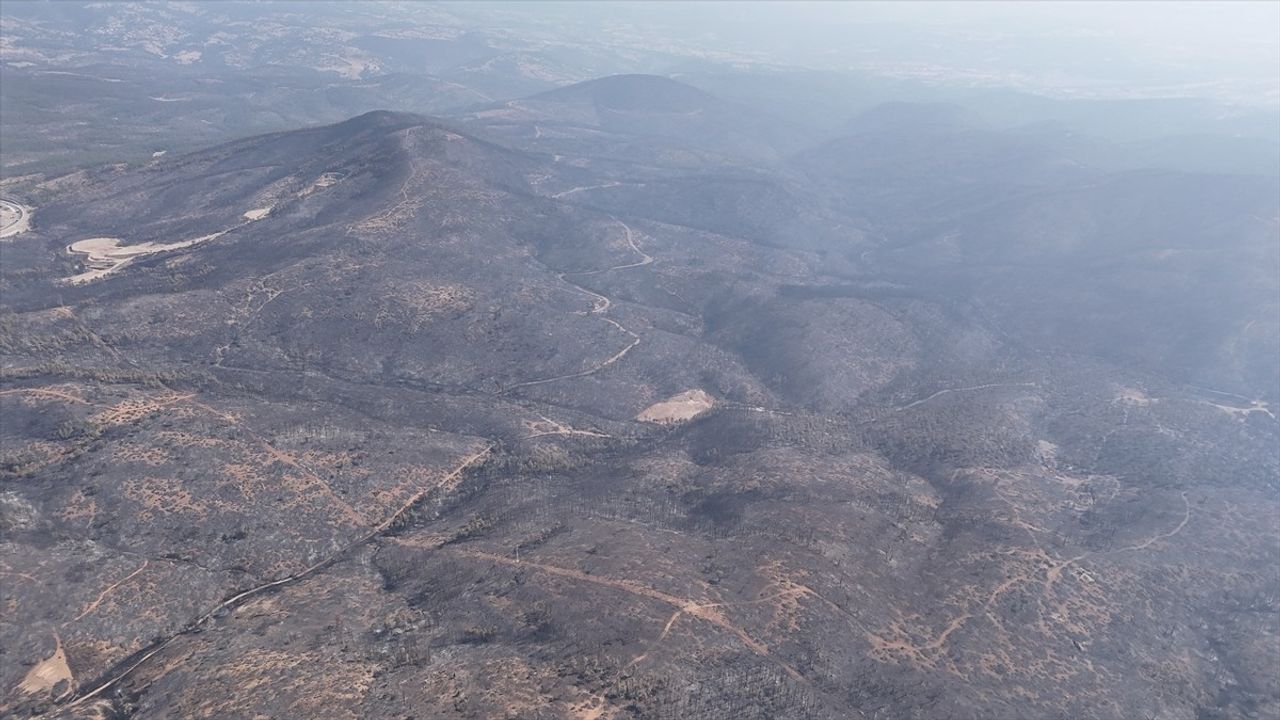Bursa'daki Orman Yangını 5. Günde Kontrol Altında Tutuluyor