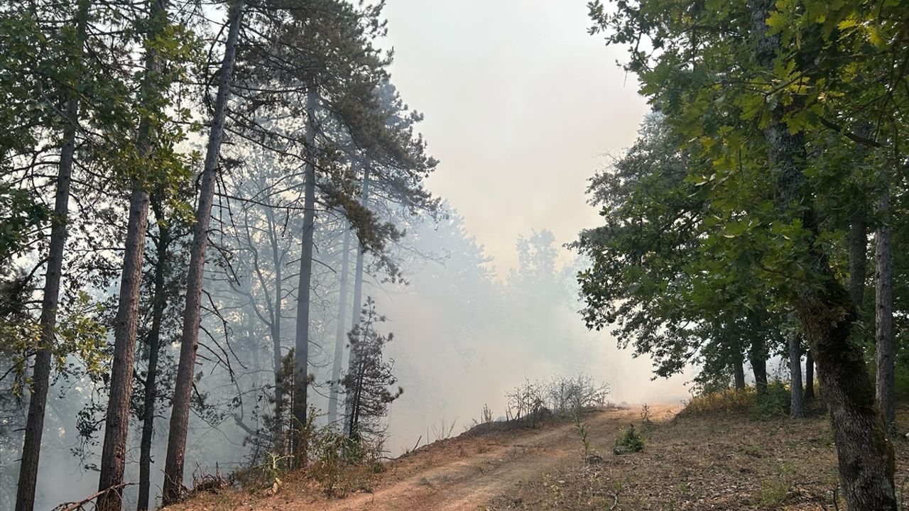 Bursa'daki Orman Yangını Kontrol Altına Alındı