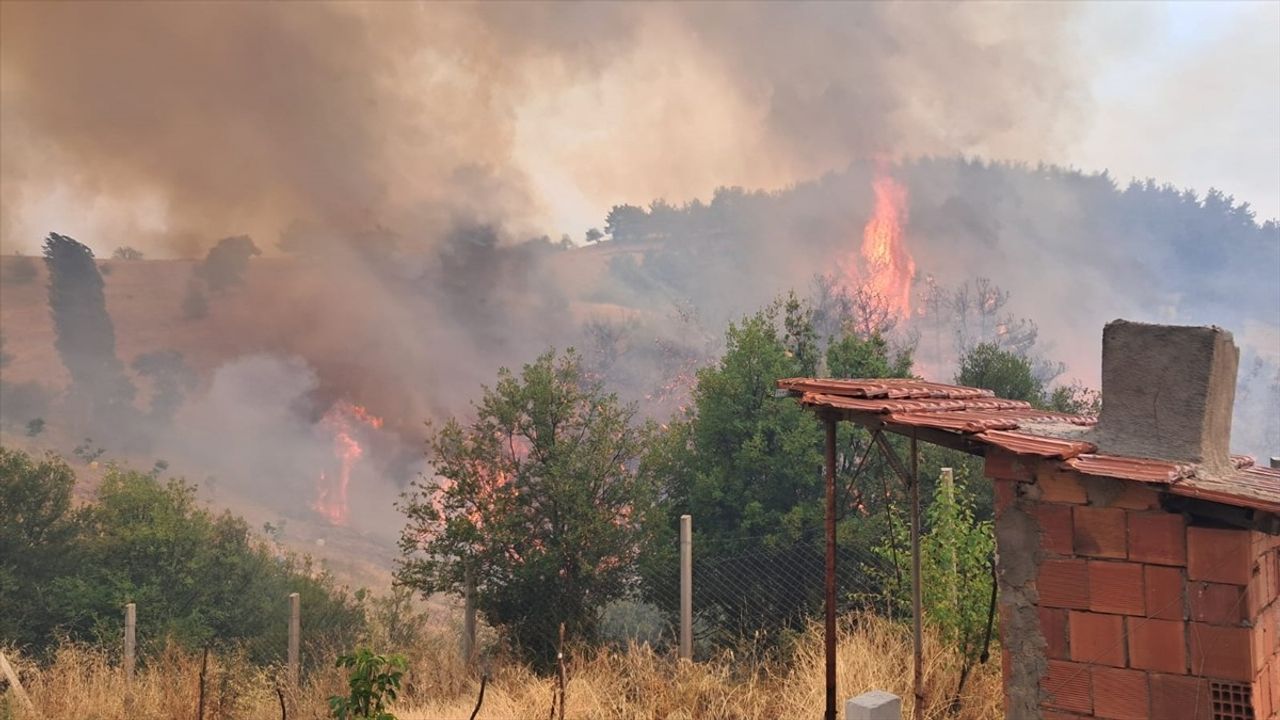 Bursa'daki Orman Yangınına Hızla Müdahale Ediliyor