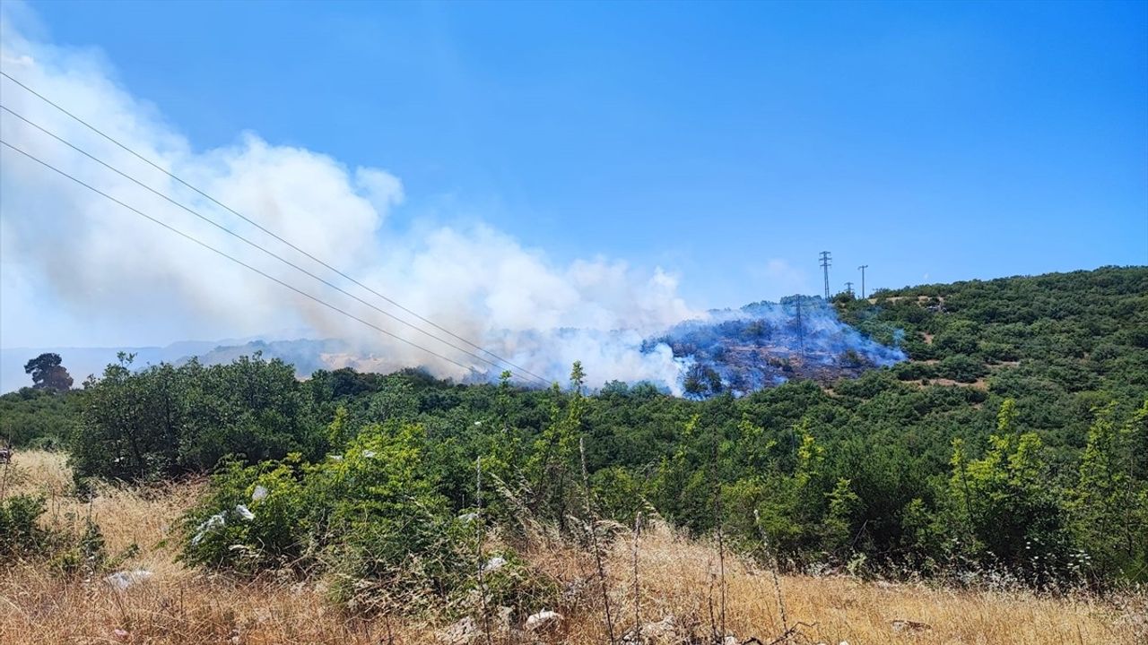 Bursa'nın İnegöl ve Mustafakemalpaşa İlçelerinde Orman Yangınına Müdahale
