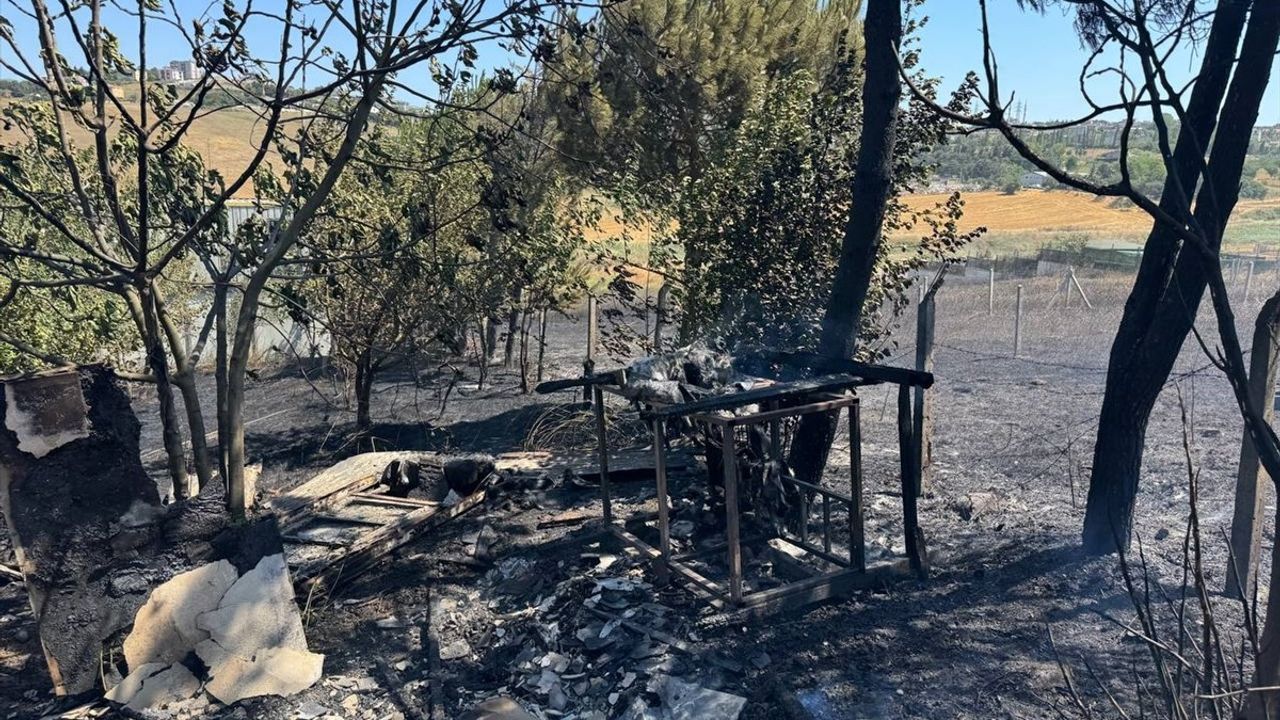 Büyükçekmece'de Otluk Alanda Yangın Kontrol Altına Alındı