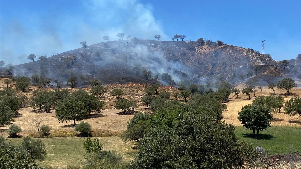 Çanakkale Ayvacık'ta Orman Yangınına Hızla Müdahale