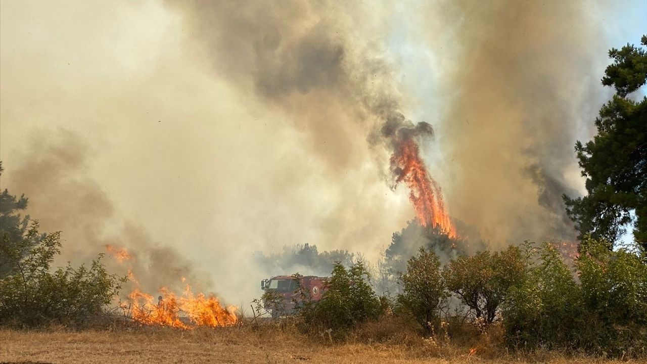 Çanakkale'de Orman Yangınına Hızla Müdahele