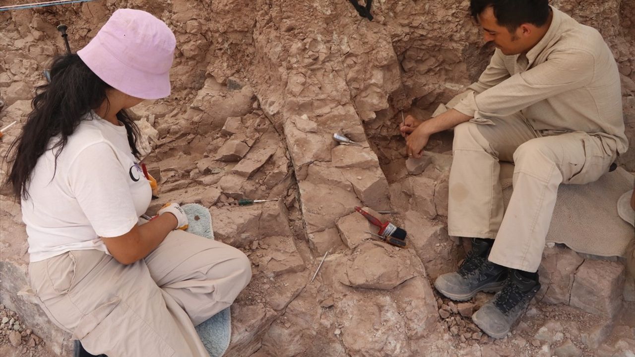 Çankırı'da Çorakyerler Fosil Kazıları Başladı