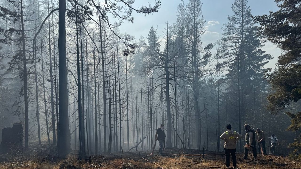 Çankırı'da Orman Yangınına Hızlı Müdahale