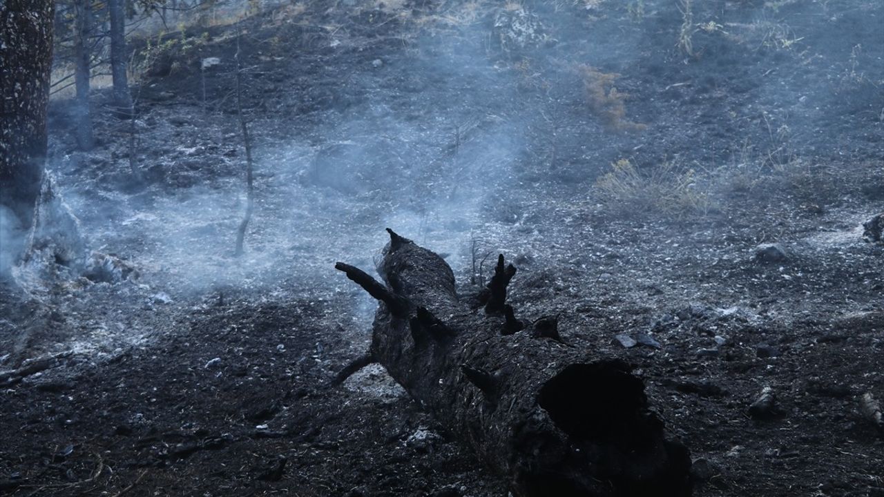 Çankırı'da Orman Yangınına Hızlı Müdahale