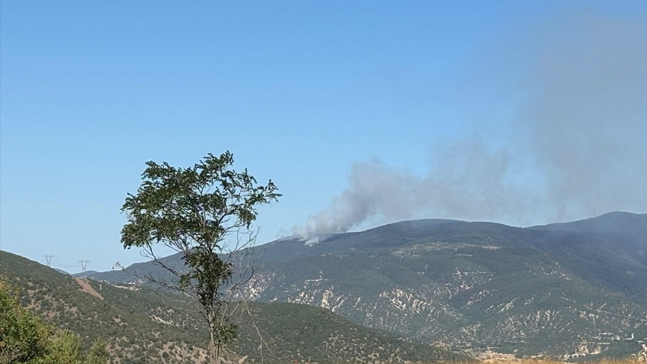 Çankırı'nın Ilgaz İlçesinde Orman Yangınına Müdahale Ediliyor
