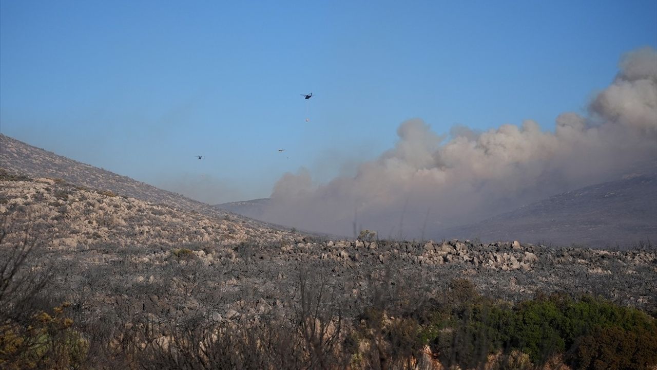 Çeşme'de Ziraat Alanından Ormana Sıçrayan Yangına Müdahale Devam Ediyor