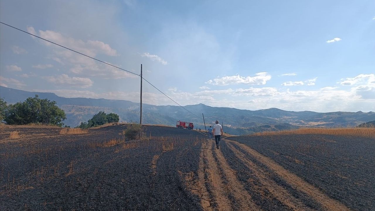 Çorum'da 25 Dönüm Buğday Tarlası Yangını Söndürüldü