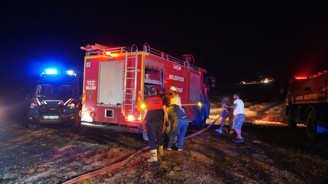 Çorum'da Tarla Yangını Ormanlık Alana Sıçradı, Kontrol Altına Alındı