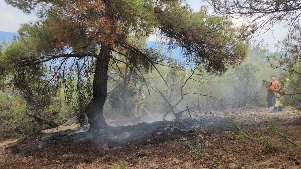 Çorum'da Yıldırım Düşmesi İle İki Orman Yangını Söndürüldü