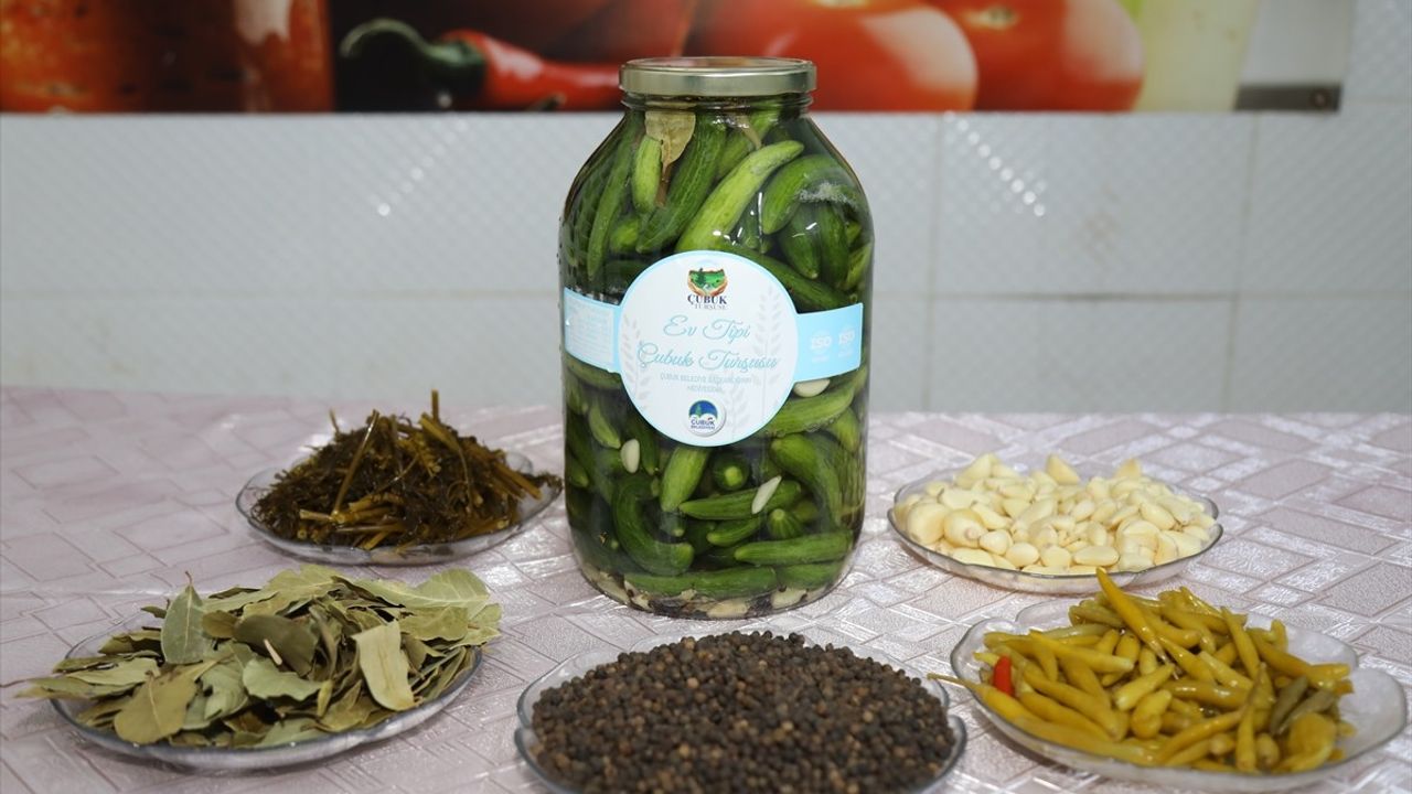 Çubuk Turşusu Zamanı: Hasat Sezonu Başladı