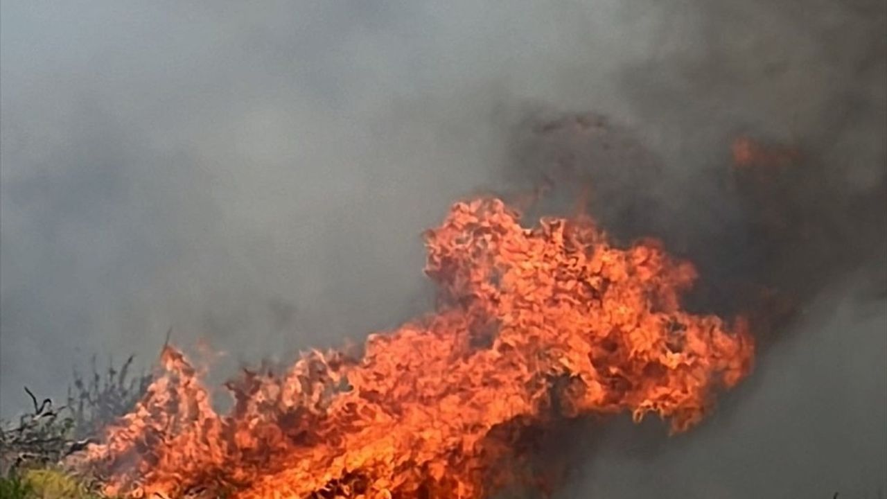 Denizli'de Anız Yangını Ormana Sıçradı: Ekipler Müdahale Ediyor