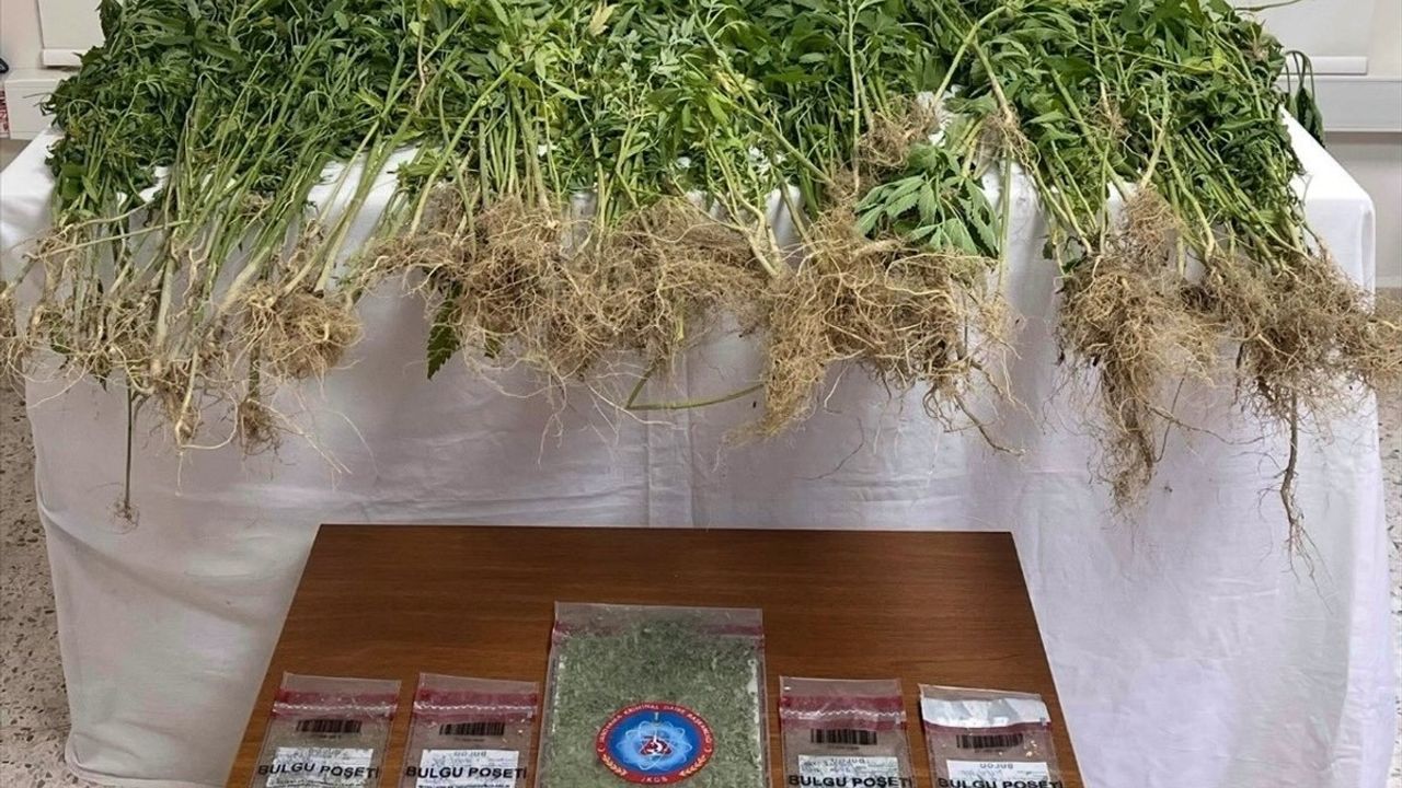Denizli'de Uyuşturucu Operasyonu: 1 Tutuklama