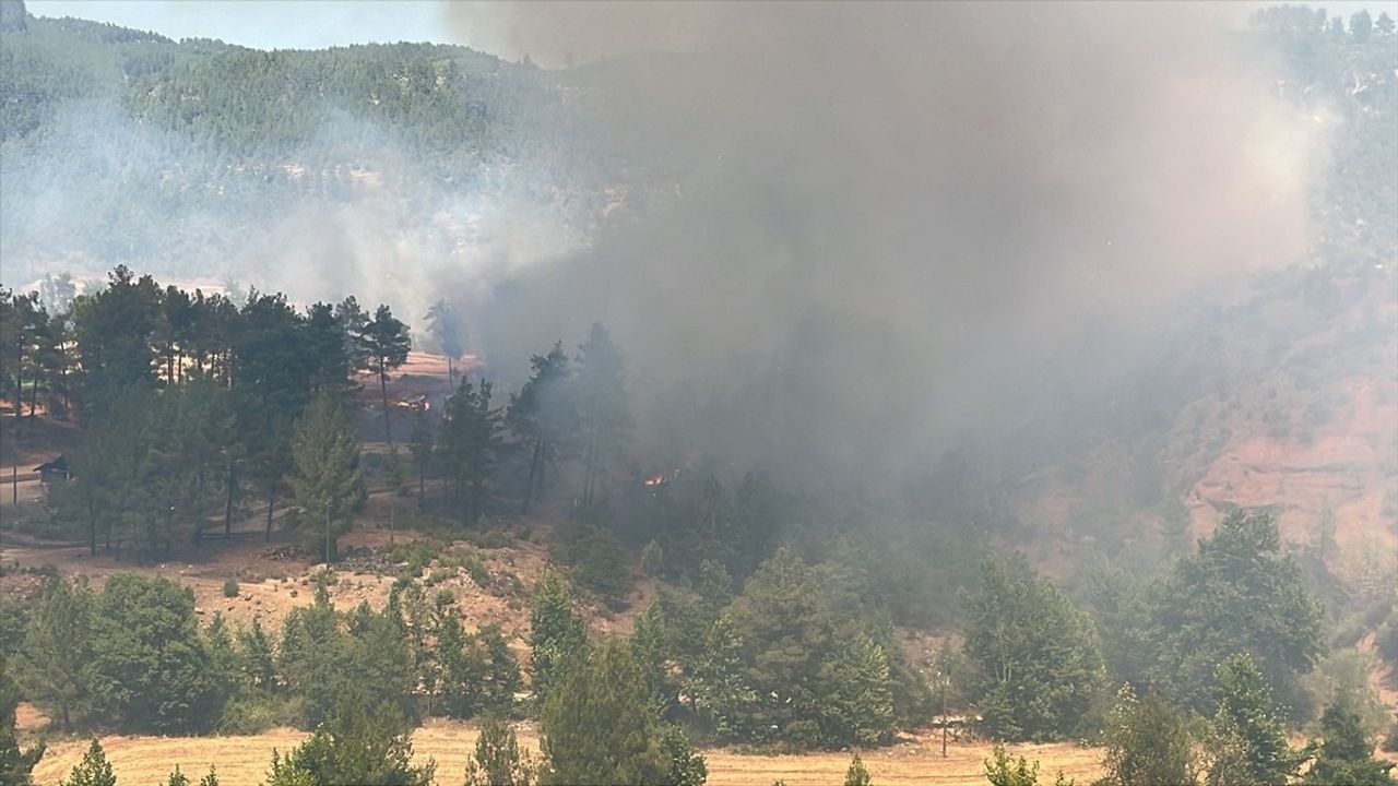 Denizli'deki Orman Yangını Kontrol Altına Alındı