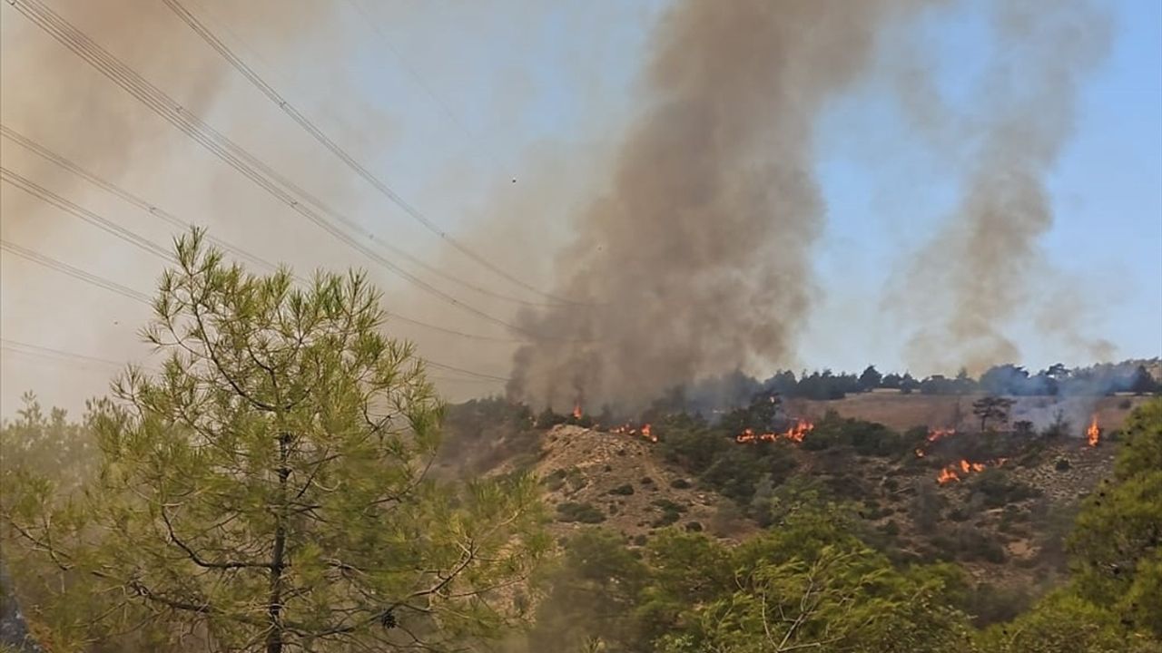 Denizli'nin Çal İlçesindeki Orman Yangını Kontrol Altına Alındı