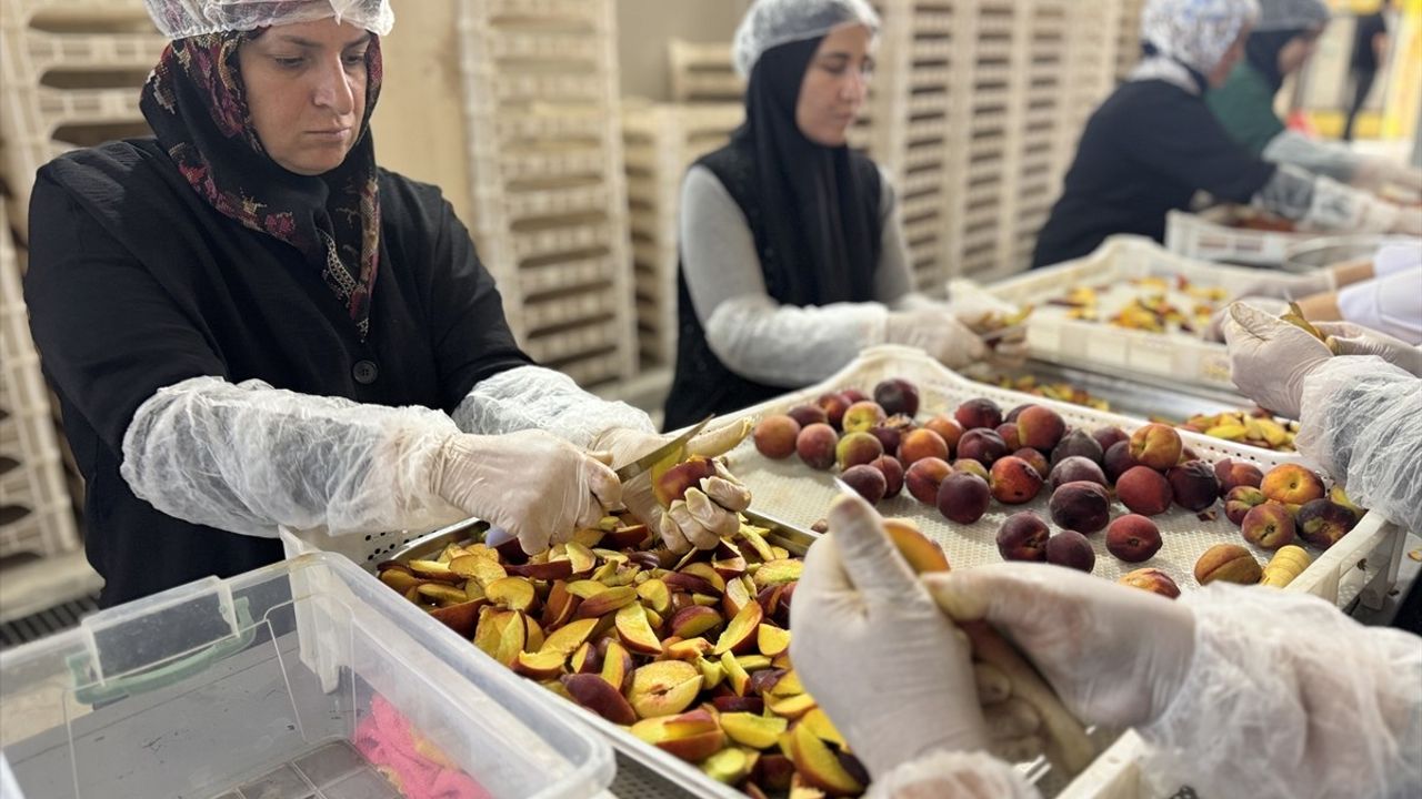 Depremzede Kadın Girişimci İhracat Pazarına Adım Attı