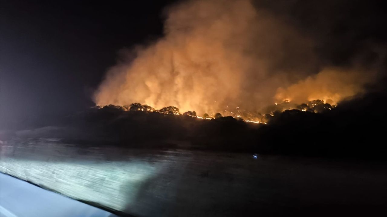 Dikili'de Çıkan Yangına Hızla Müdahale Ediliyor